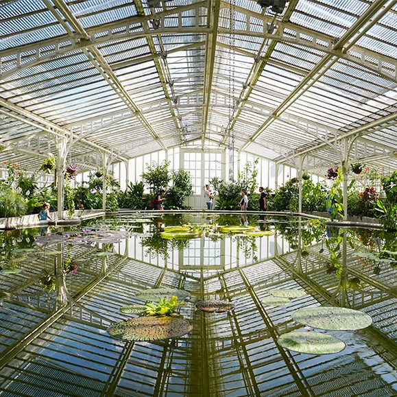 Interior view of the Botanical Garden in Munich