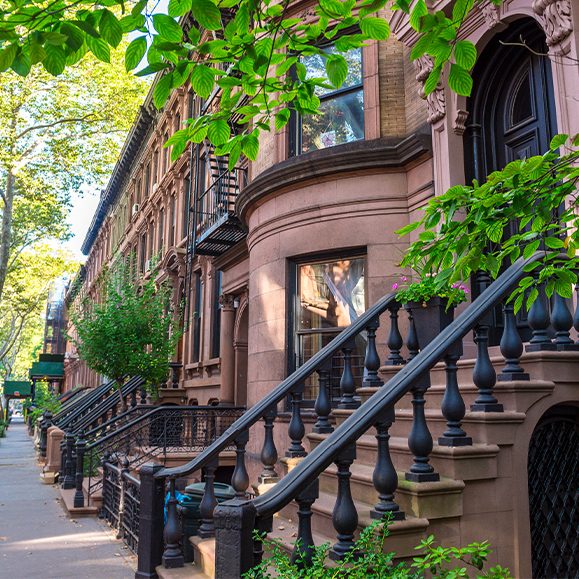 Leafy summer afternoon view of traditional brownstone Brooklyn neighborhood block with long row of stoops in New York City