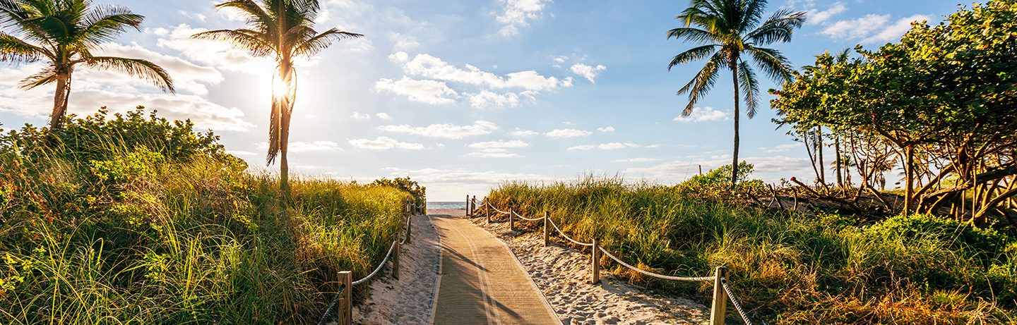 A path lined with sand and palm trees leads to the sea. The sun shines in a blue sky dotted with thin clouds.