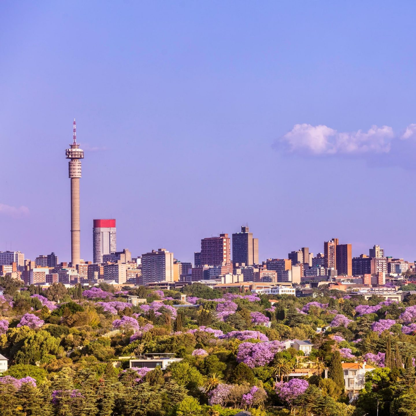 Destination visuals: Johannesburg, South Africa