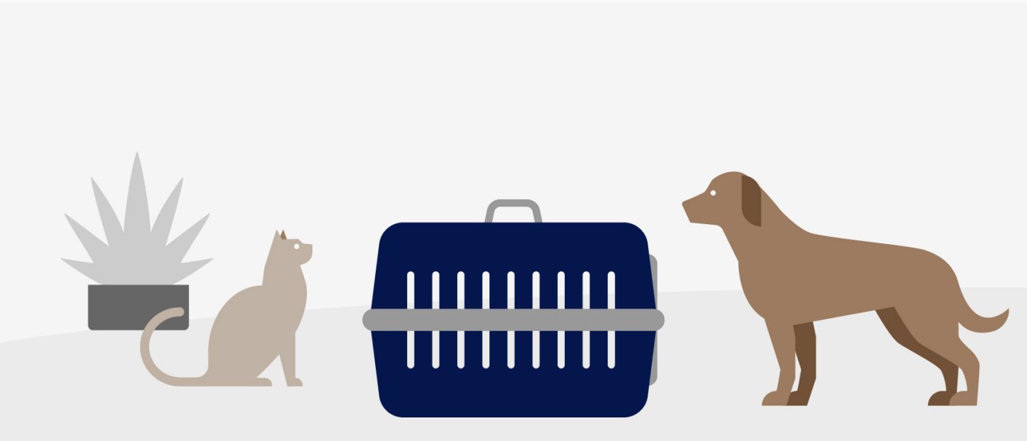 Illustration shows a cat and a dog in front of the pet transport box.