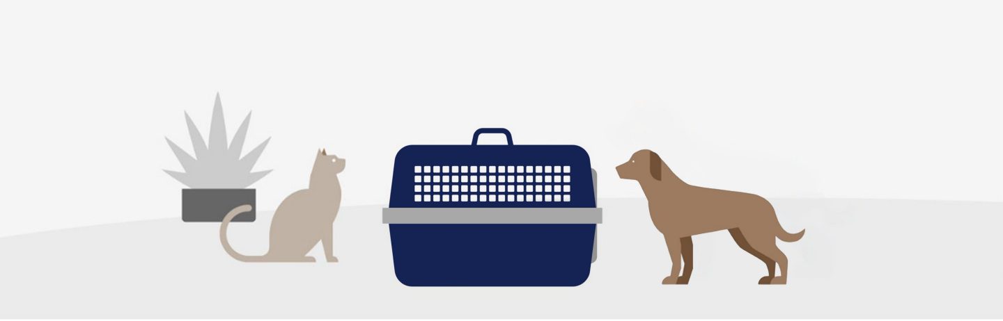 Illustration shows a cat and a dog in front of the pet transport box