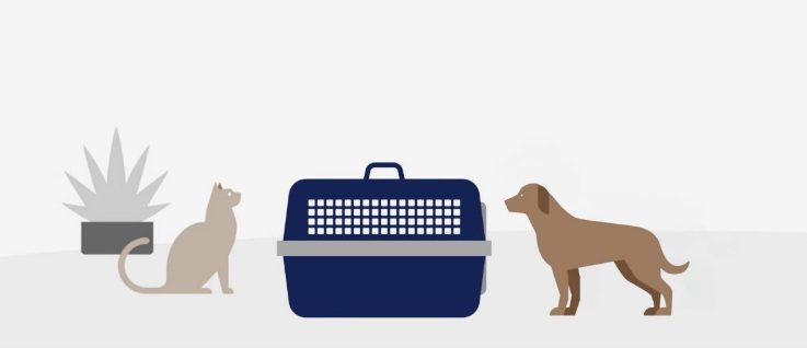 A dog and cat stand beside a suitcase, ready for travel together.