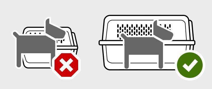 Icon showing a dog in a pet carrier, illustrating correct vs. incorrect carrier size.