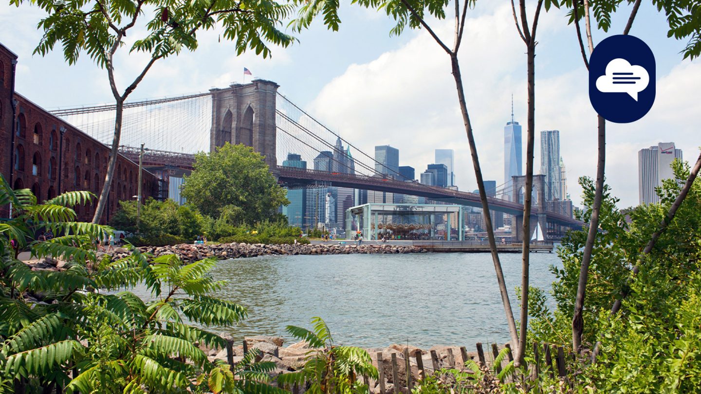 Team Stories: View of the Brooklyn Bridge