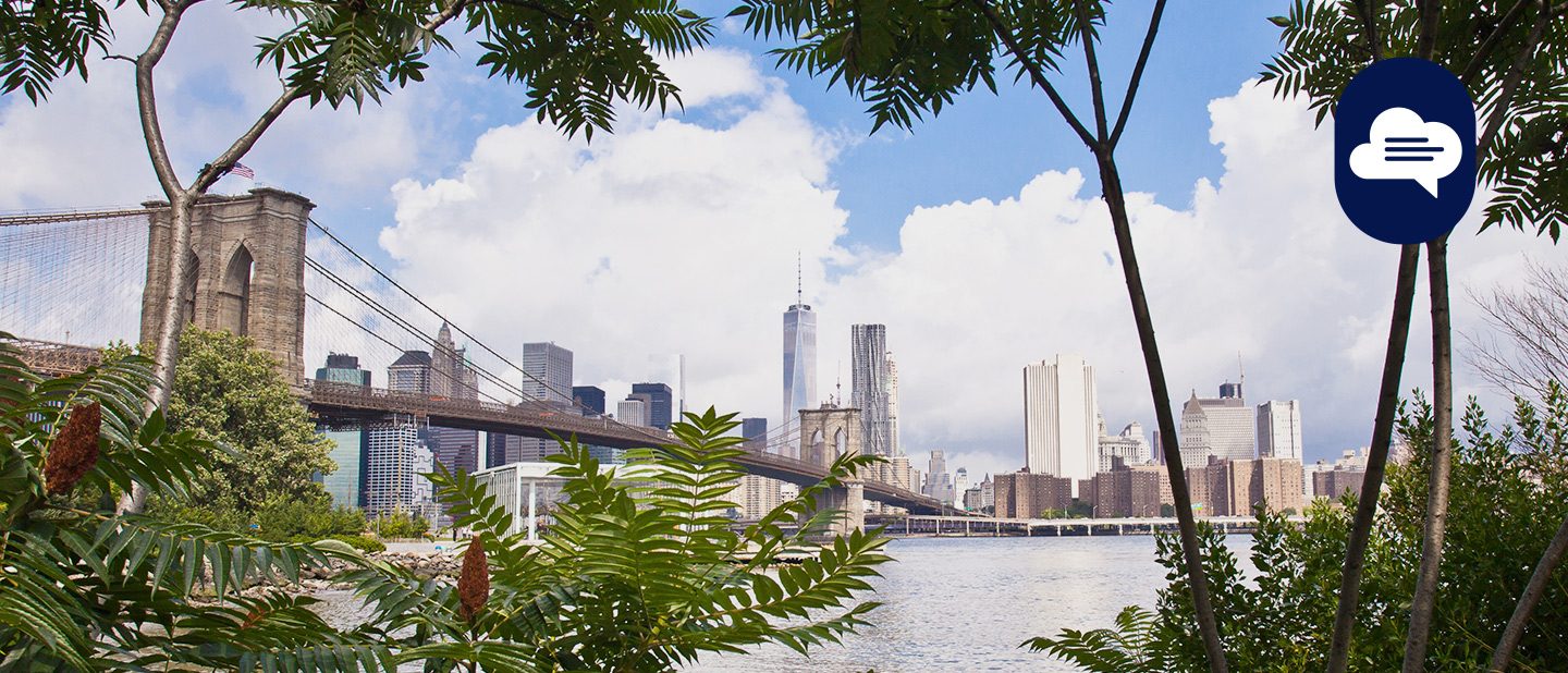 Team Stories: View of the Brooklyn Bridge. 