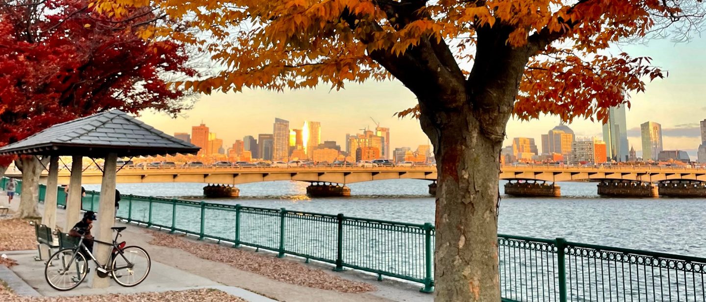 A waterfront promenade with autumn trees and a view of a city skyline at sunset