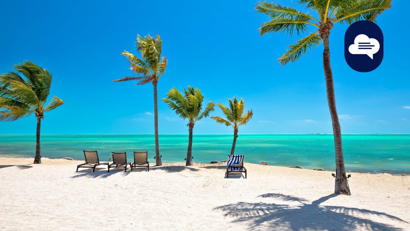 Team Stories: Palm trees and sun loungers on the beach with the turquoise blue sea of Islamorada